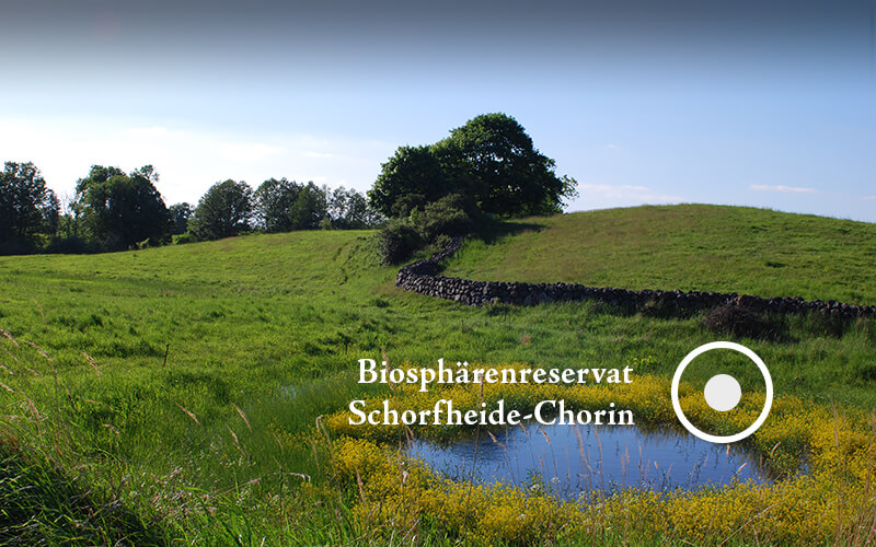 Biosphärenreservat Schorfheide-Chorin